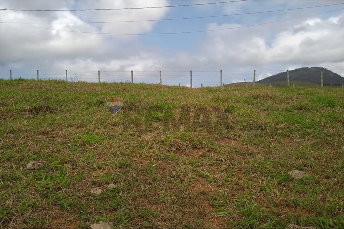 Sítio, 4300 m² - Foto 7