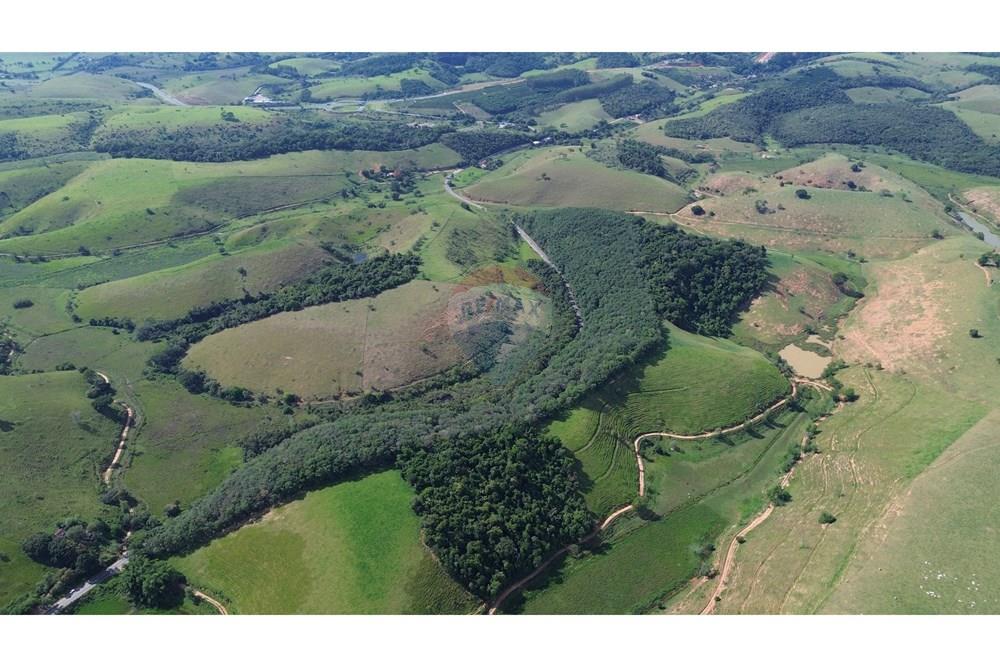 Sítio, 12 hectares - Foto 15