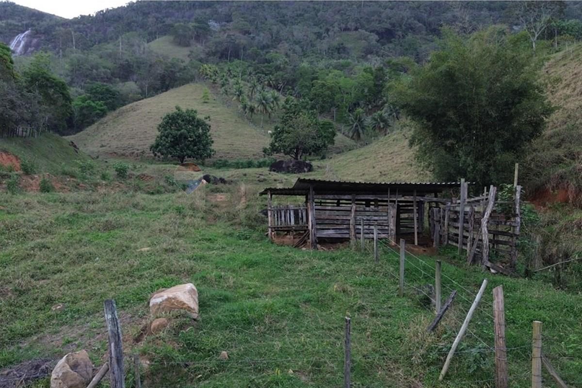 Sítio, 2 hectares - Foto 23