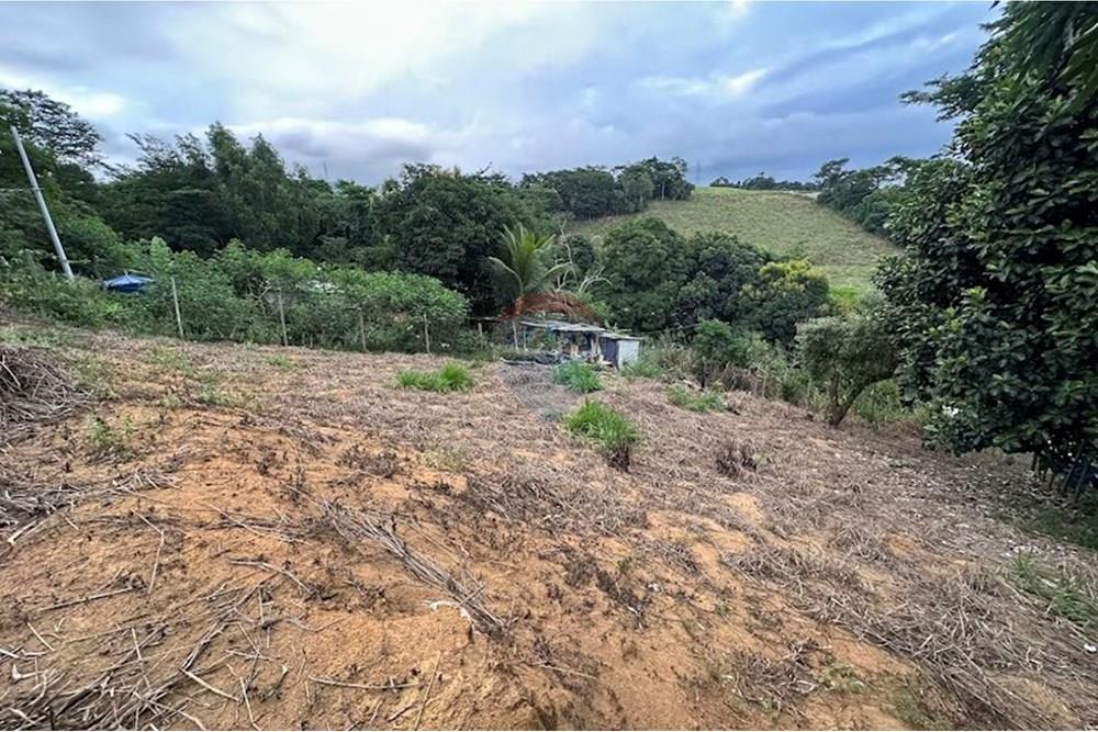 Terreno, 540 m² - Foto 6