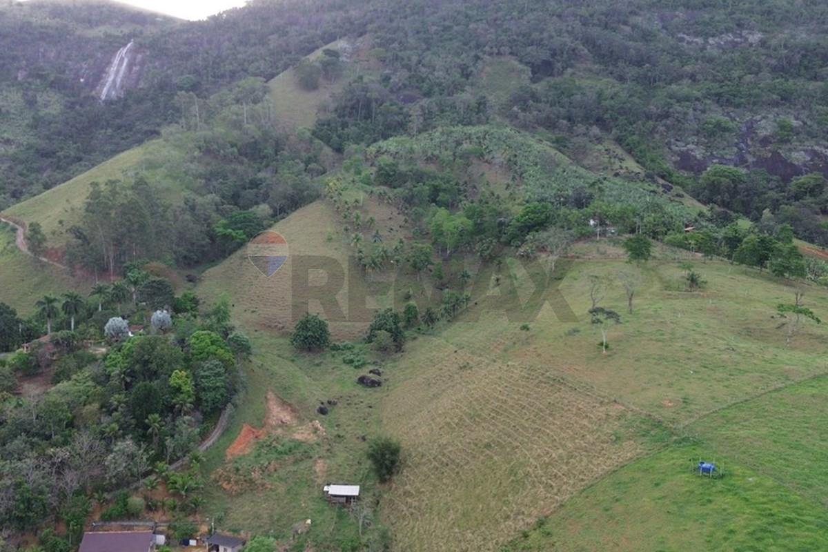 Sítio, 2 hectares - Foto 13