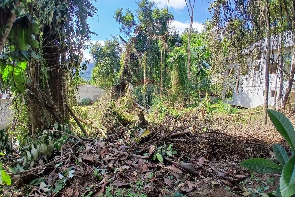 Terreno