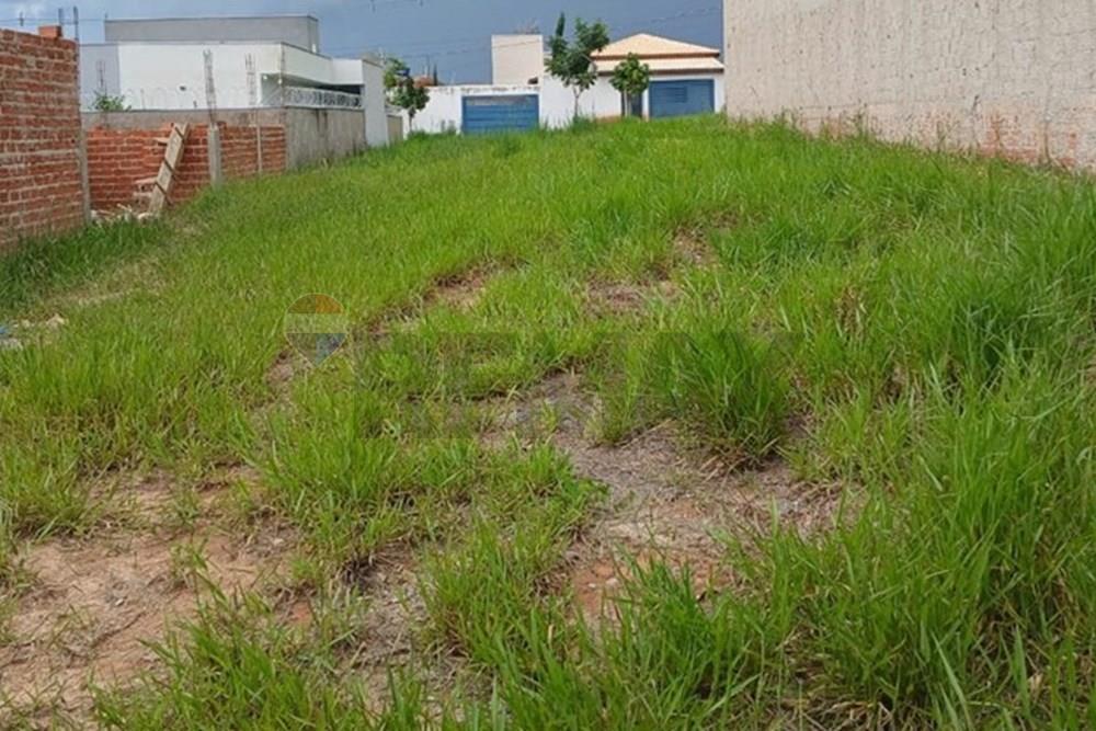 Terreno, 250 m² - Foto 19