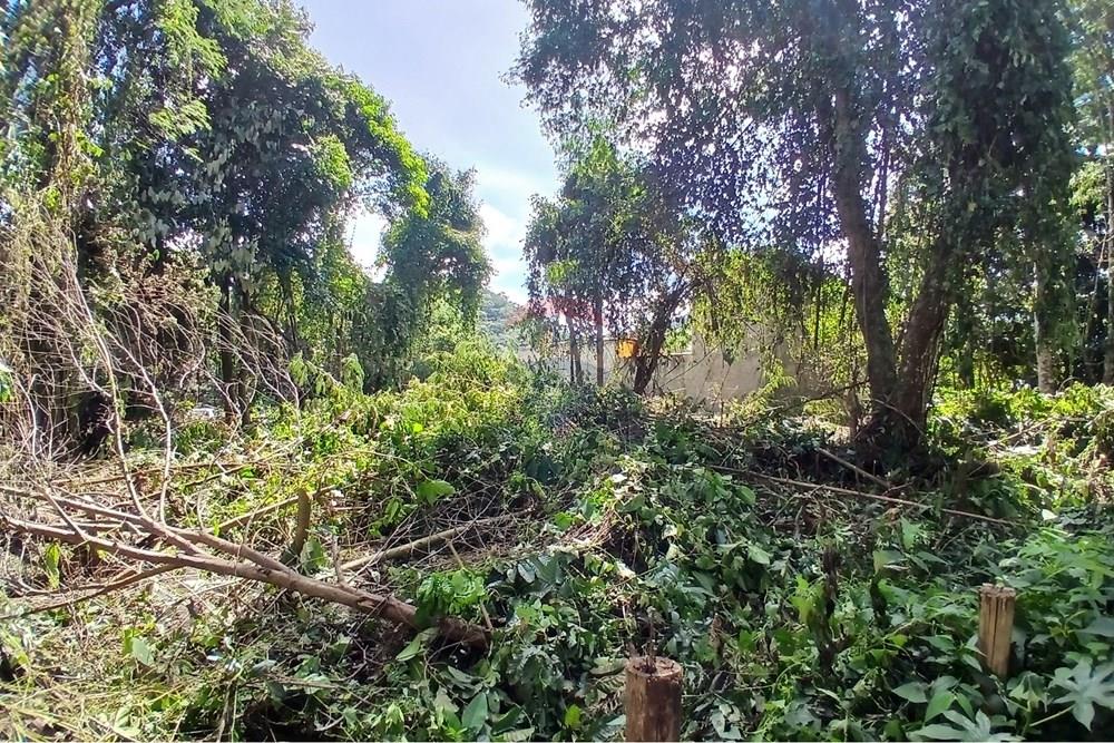 Terreno