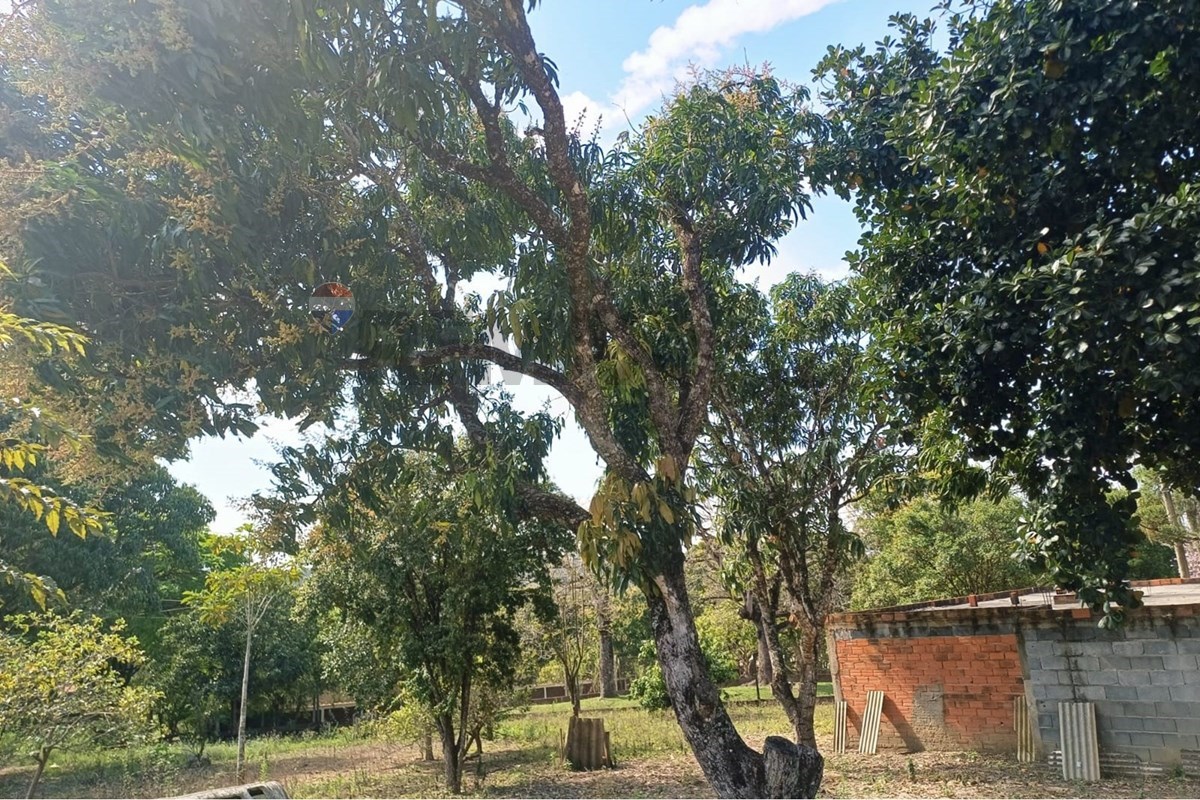 Terreno, 1600 m² - Foto 8