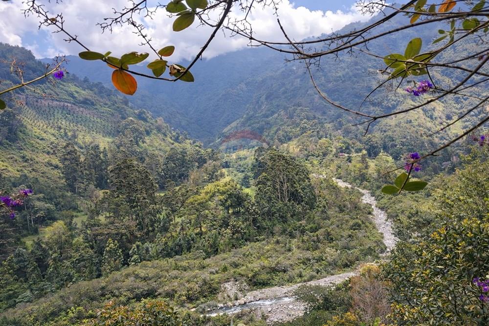 Vereda Juntas Ibagué