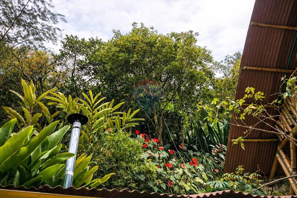 Vereda Juntas Ibagué