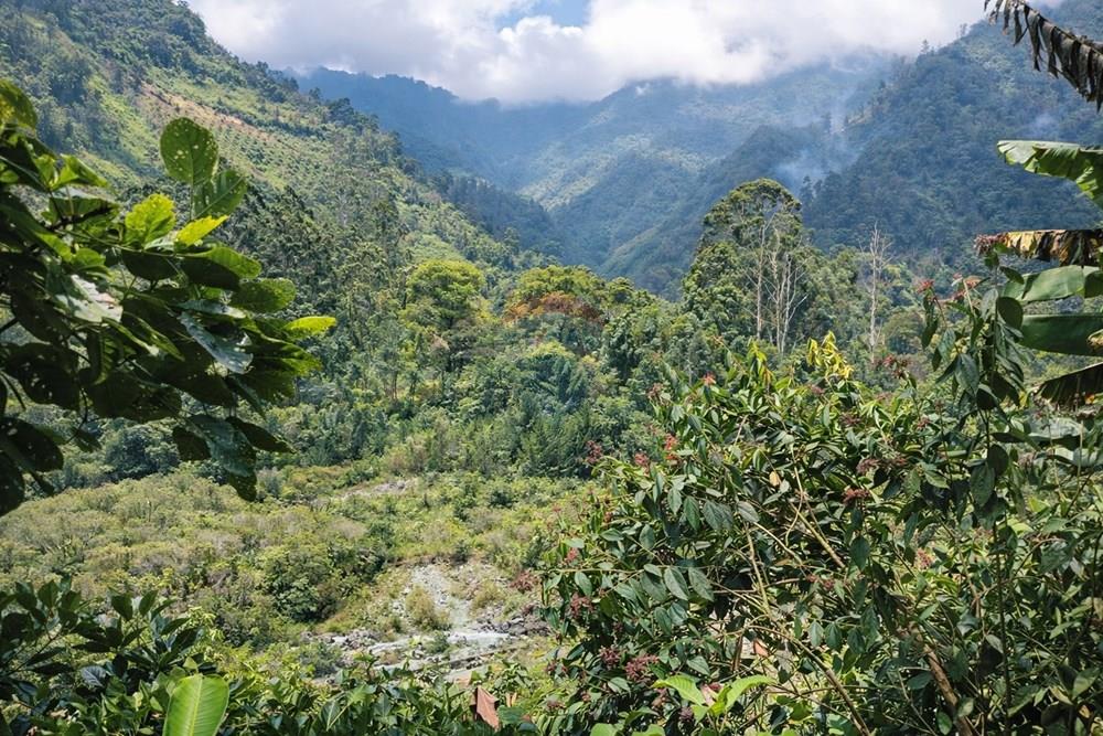 Vereda Juntas Ibagué