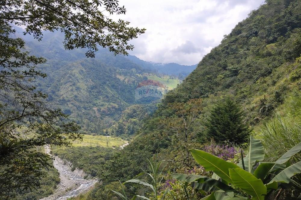 Vereda Juntas Ibagué