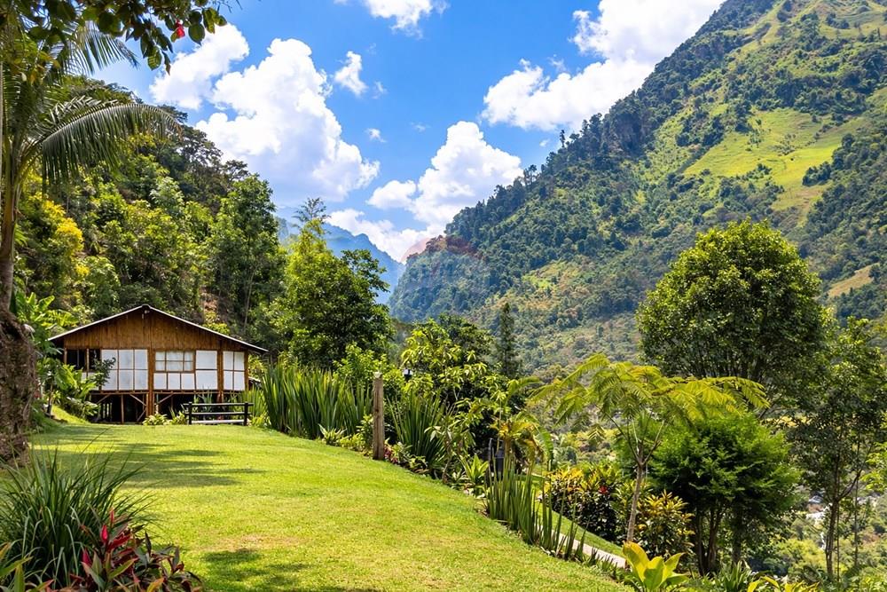 Vereda Juntas Ibagué