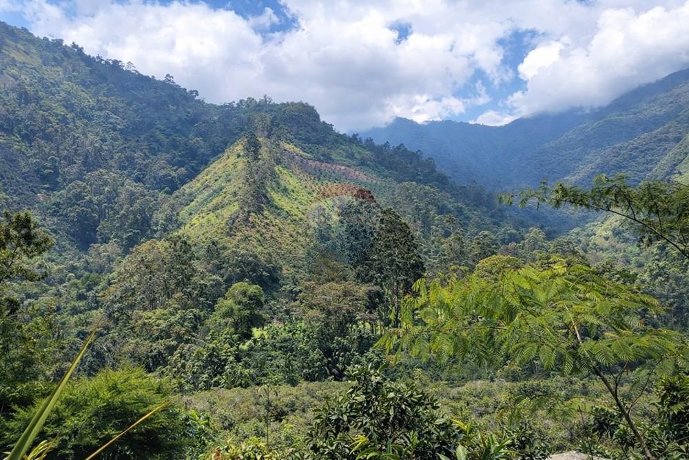 Vereda Juntas Ibagué