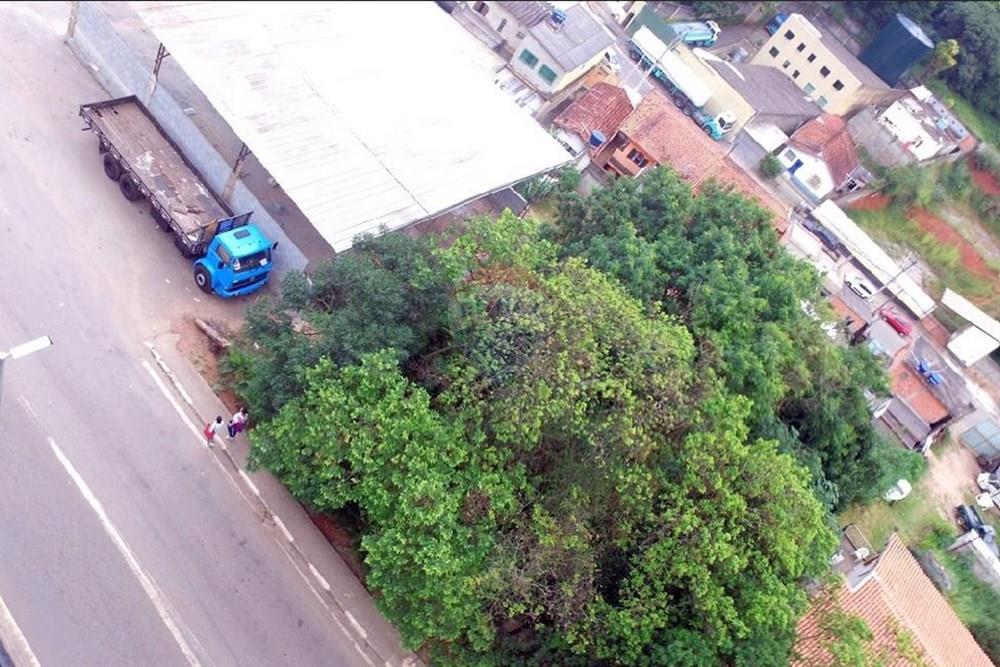 Imóvel - Venda - Santana de Parnaíba, São Paulo - foto 4