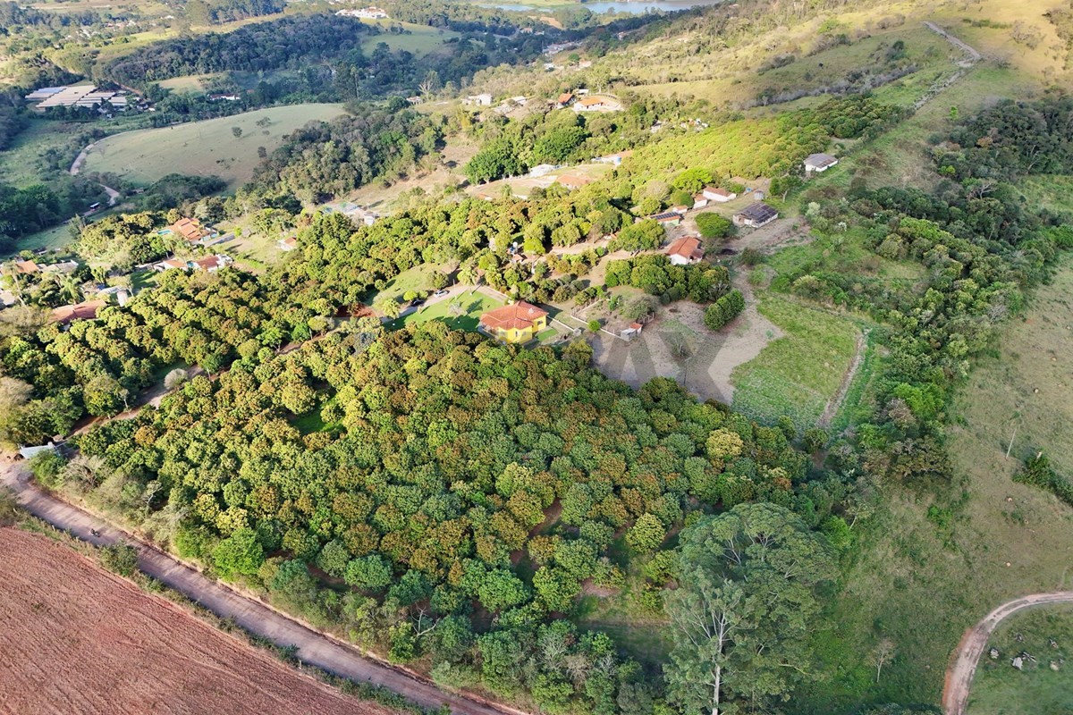 SÍTIO PRODUTIVO DE LICHIA ,37 HECTARES /ATIBAIA/SP -R$ 5.988.000,00 Atibaia/SP . Natureza, produção e potencial de investimento — foto 1