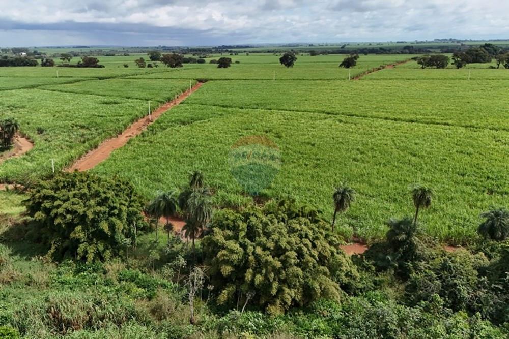 Fazenda, 27 hectares - Foto 20