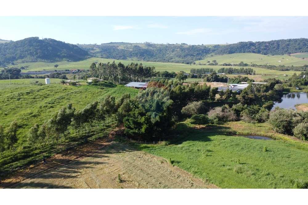 Fazenda, 217 hectares - Foto 12
