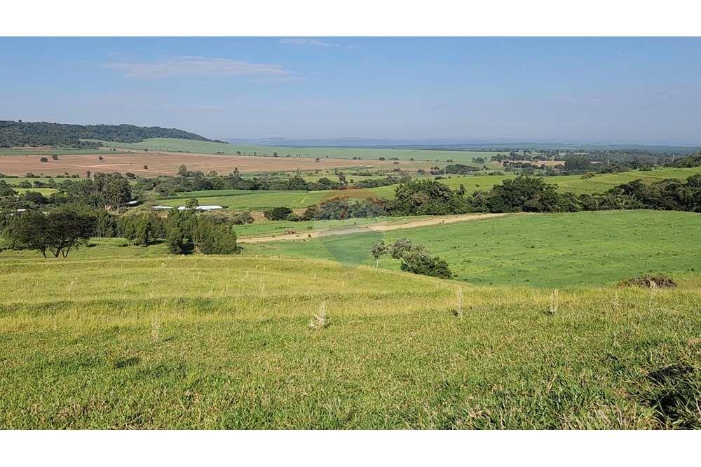Fazenda, 217 hectares - Foto 74