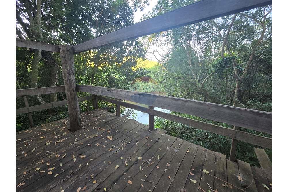 Fazenda, 12 hectares - Foto 34