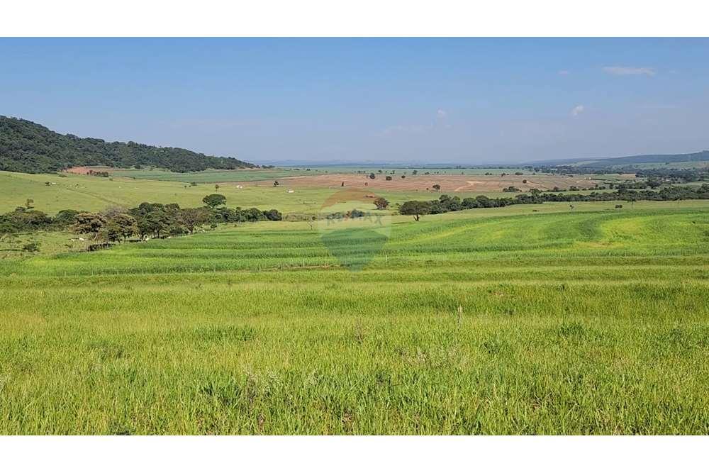 Fazenda, 217 hectares - Foto 46