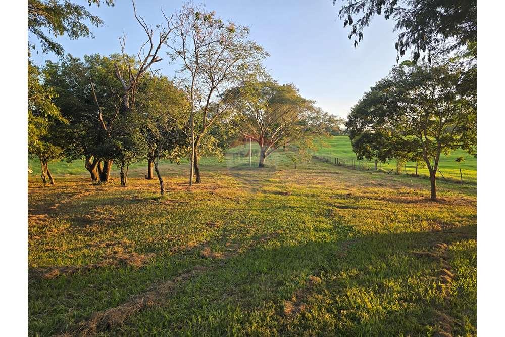 Fazenda, 12 hectares - Foto 42