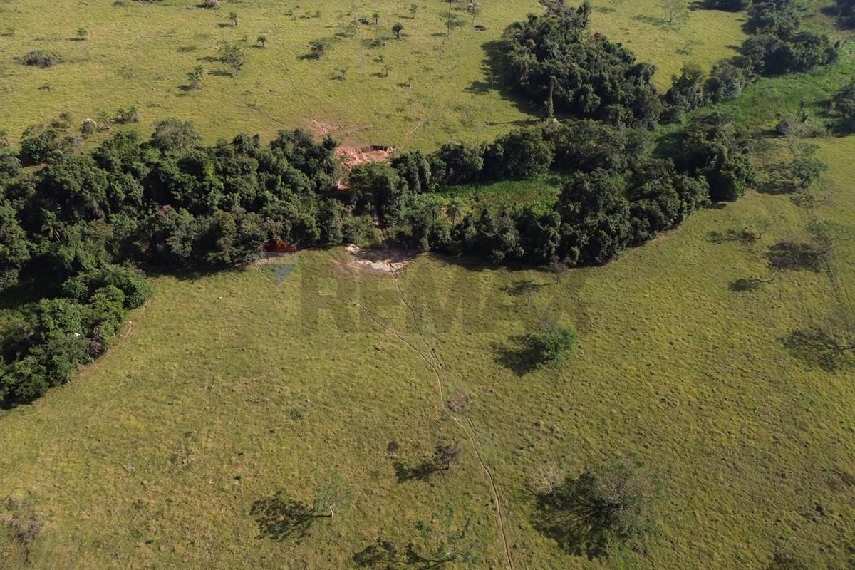 Fazenda, 199 hectares - Foto 13