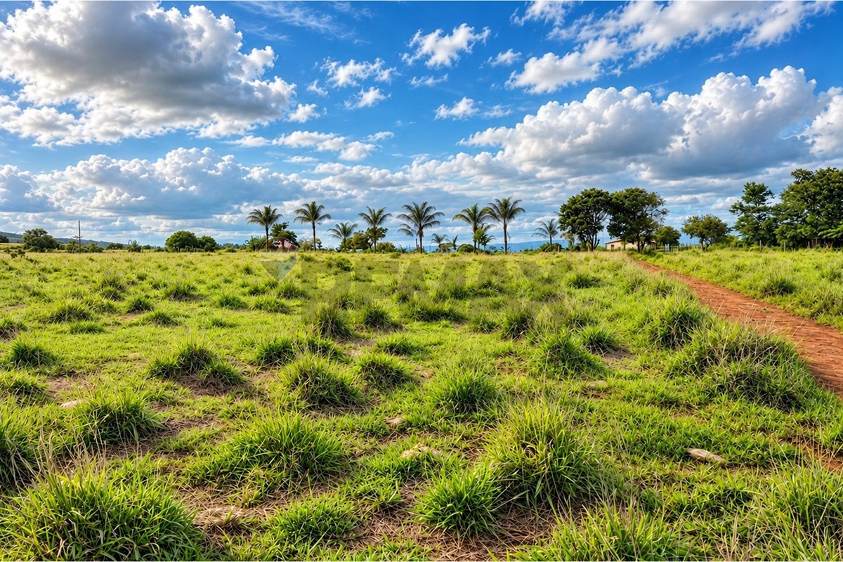 Fazenda, 67 hectares - Foto 15