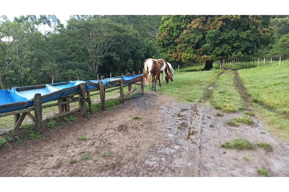 Fazenda, 60 hectares - Foto 42