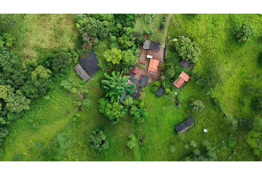 Fazenda, 60 hectares - Foto 10