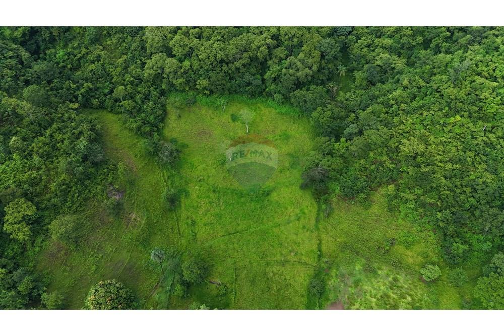 Fazenda, 60 hectares - Foto 20