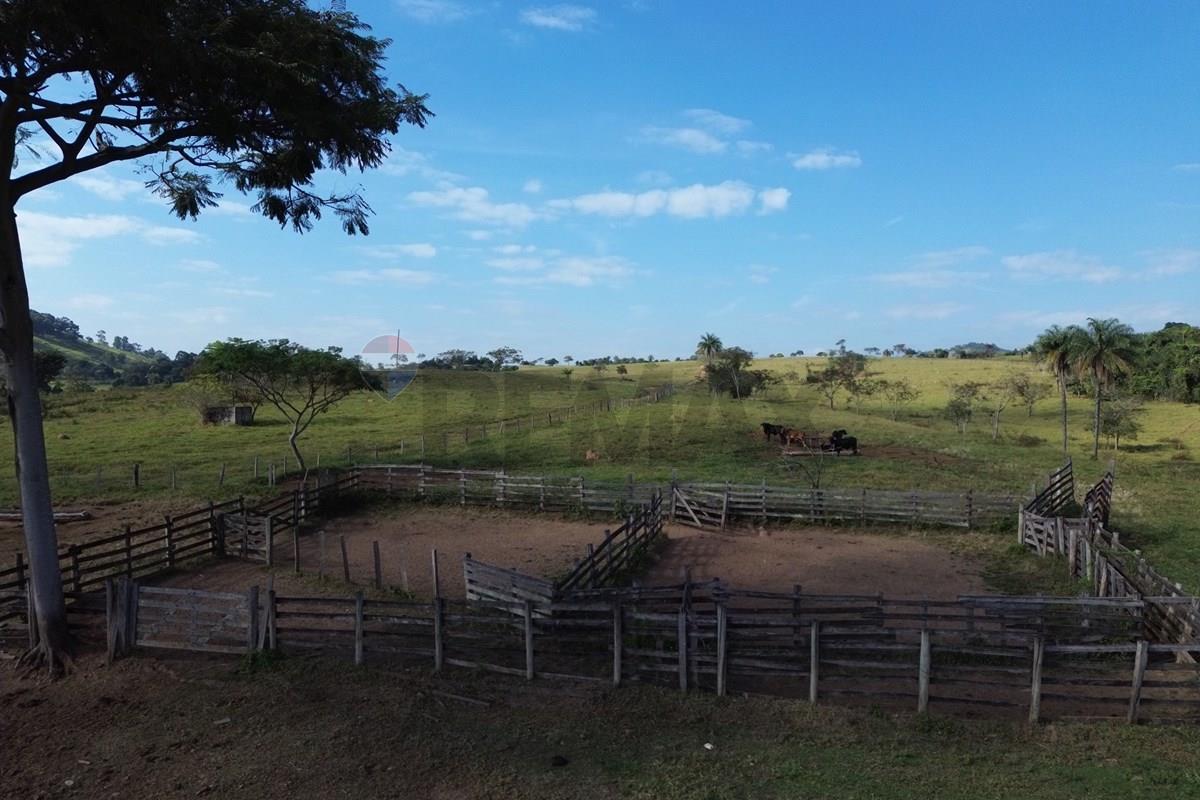 Fazenda, 199 hectares - Foto 7