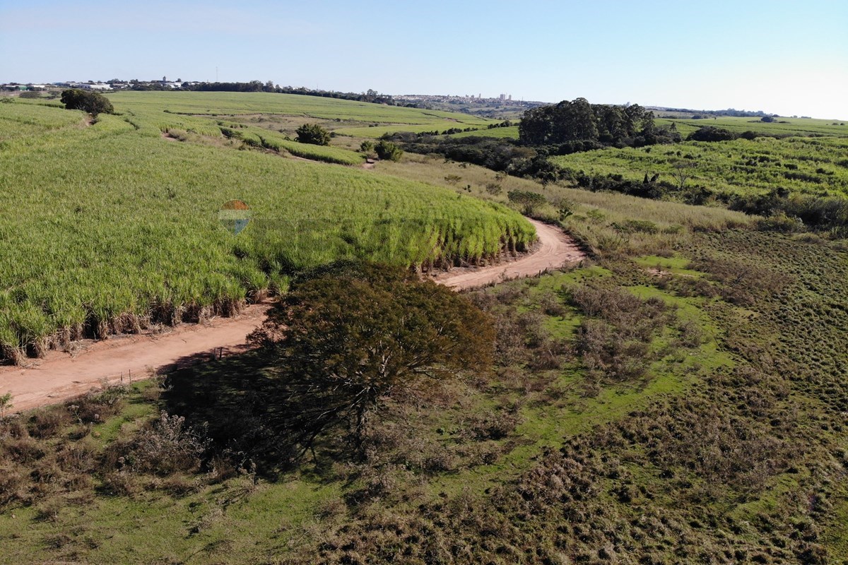 Terreno, 5 hectares - Foto 8