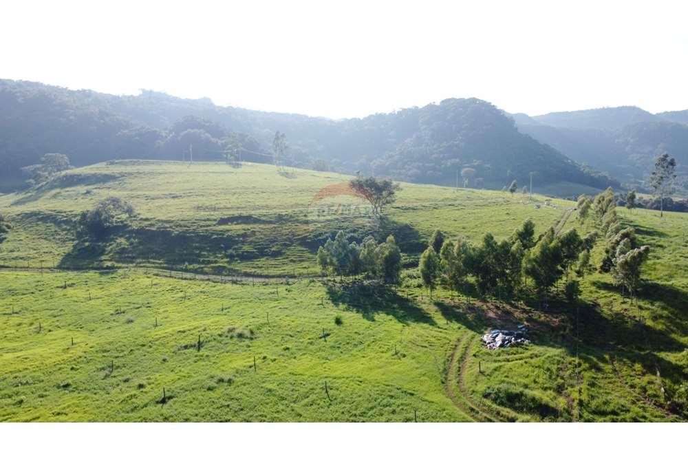 Fazenda, 217 hectares - Foto 10