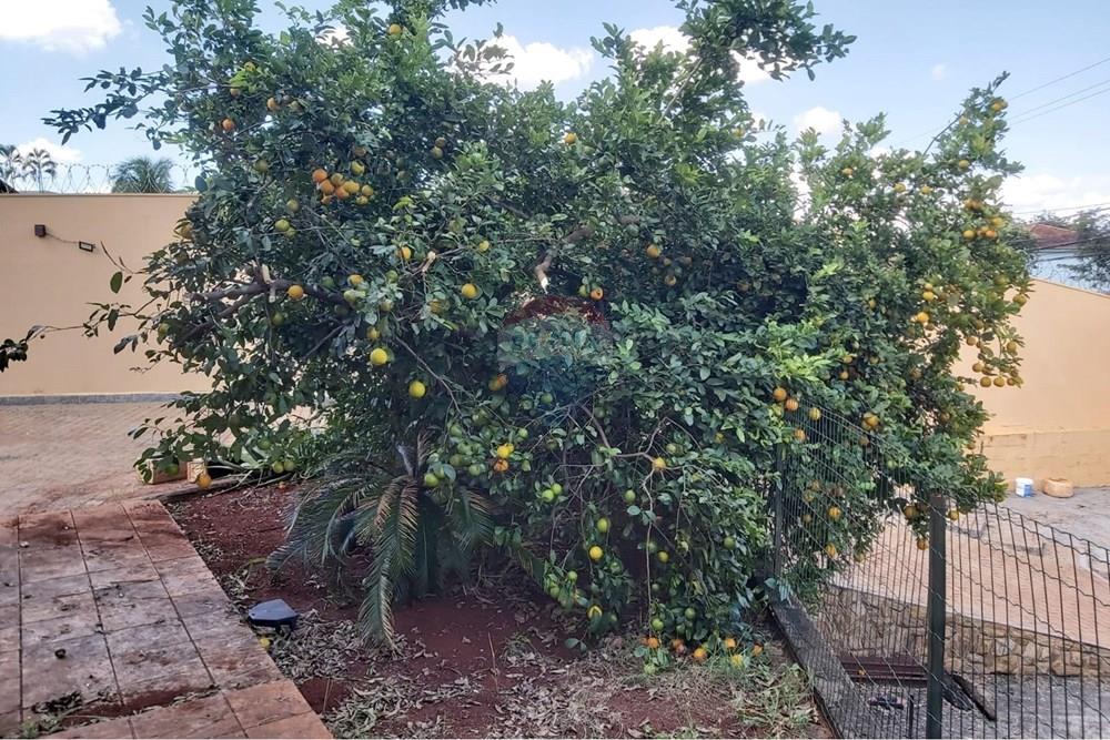 Casa, 2 quartos, 173 m² - Foto 70