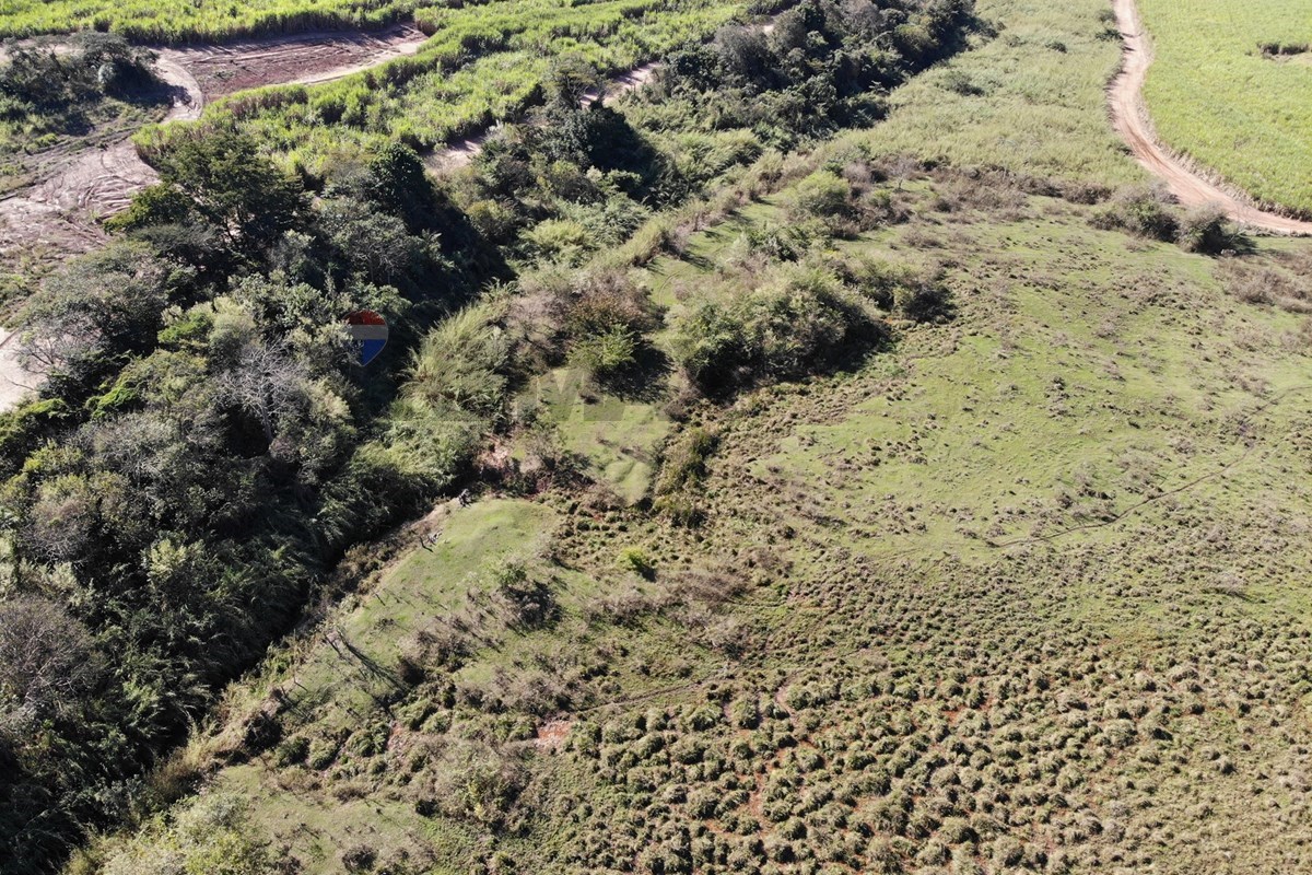 Terreno, 5 hectares - Foto 3