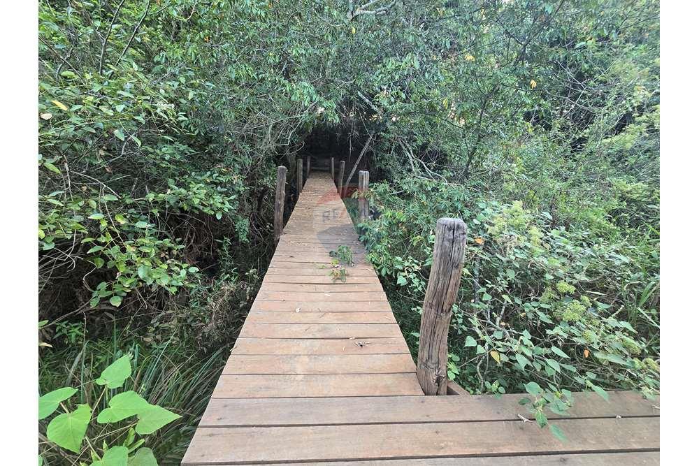 Fazenda, 12 hectares - Foto 38