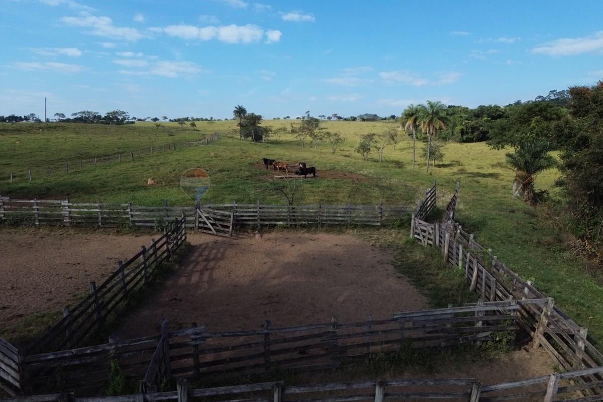 Fazenda, 199 hectares - Foto 6