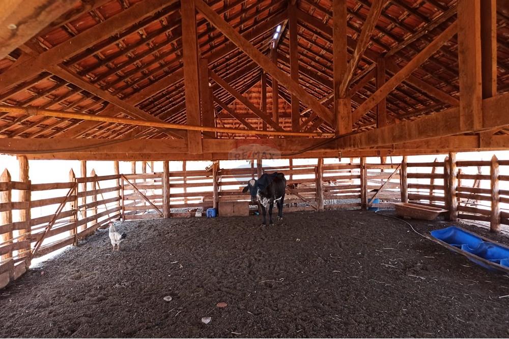 Fazenda, 27 hectares - Foto 6