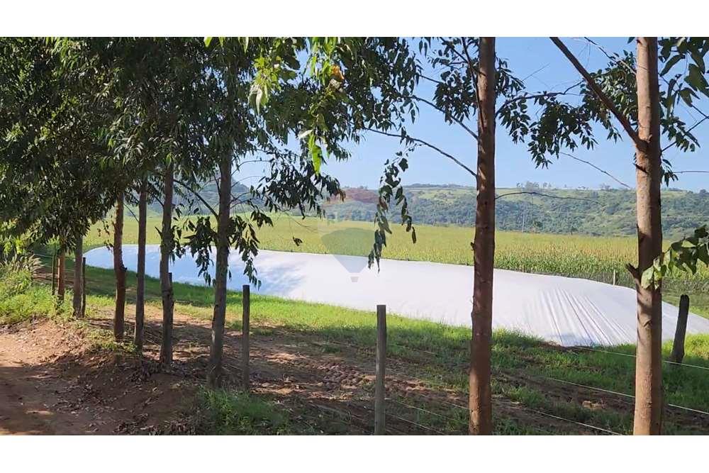 Fazenda, 217 hectares - Foto 57
