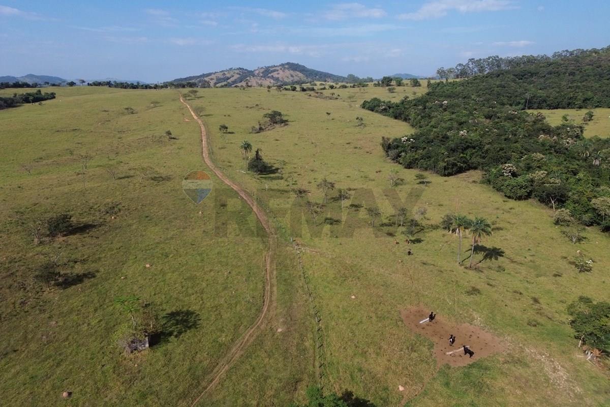 Fazenda, 199 hectares - Foto 11