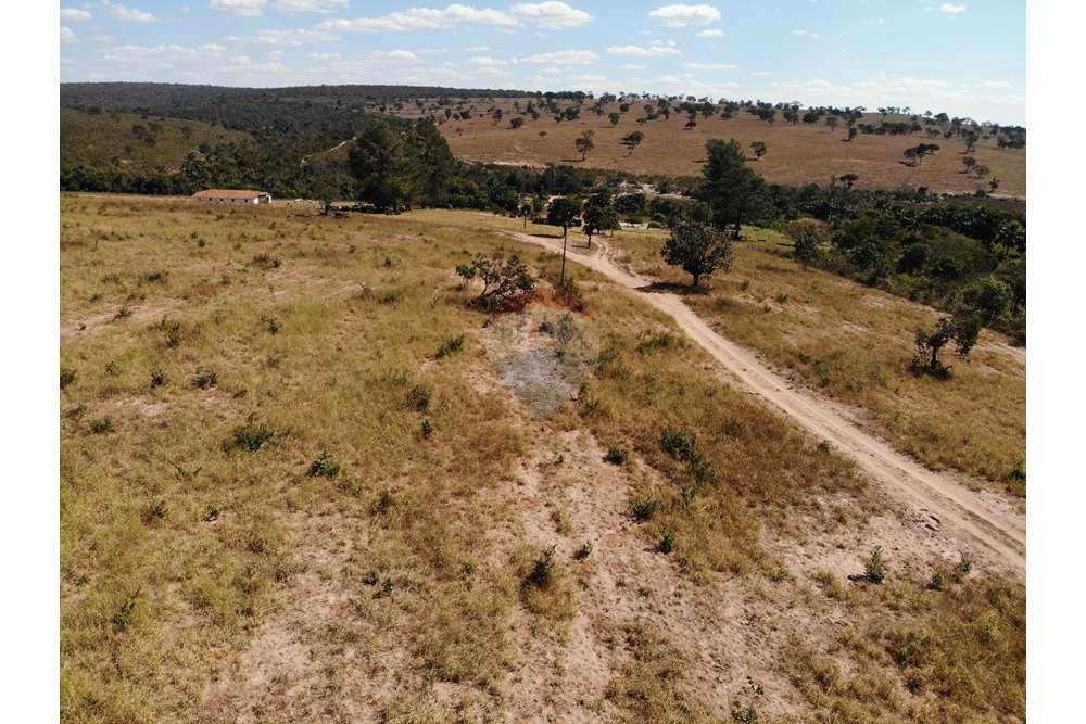 Fazenda, 1657 hectares - Foto 10