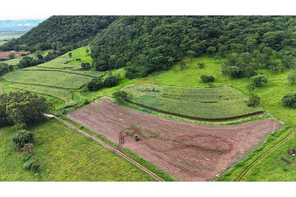 Fazenda, 60 hectares - Foto 13