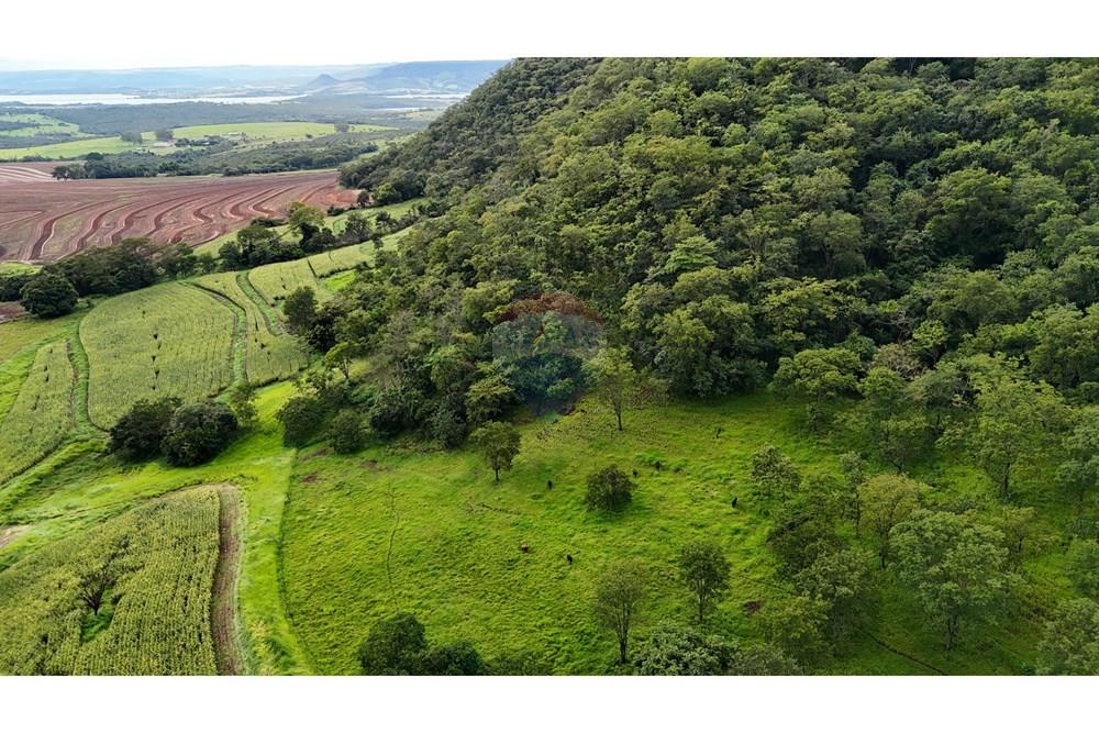 Fazenda, 60 hectares - Foto 6
