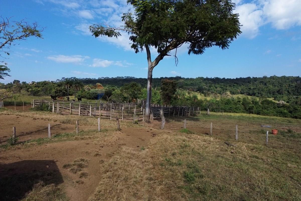 Fazenda, 199 hectares - Foto 8