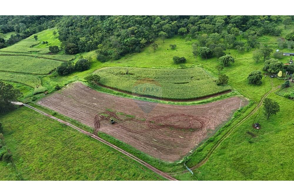 Fazenda, 60 hectares - Foto 12