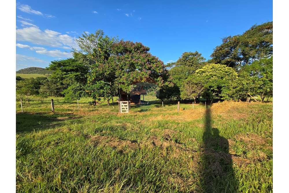 Fazenda, 12 hectares - Foto 12