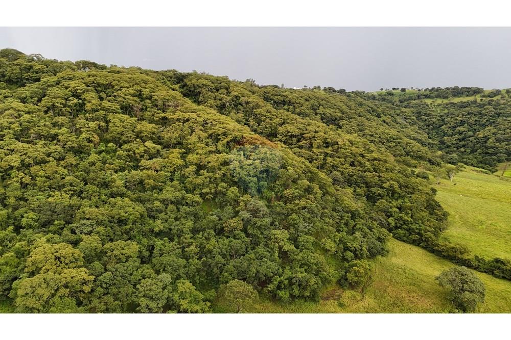 Fazenda, 60 hectares - Foto 15