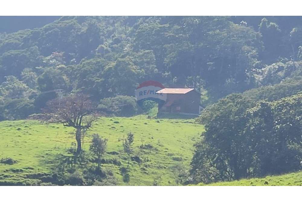 Fazenda, 217 hectares - Foto 43