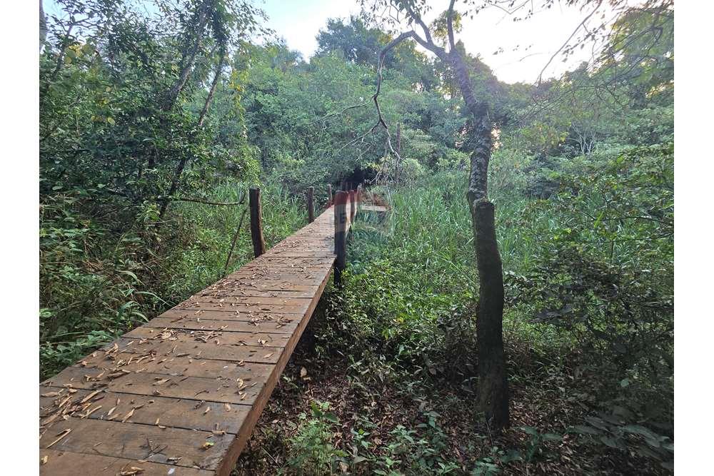 Fazenda, 12 hectares - Foto 39