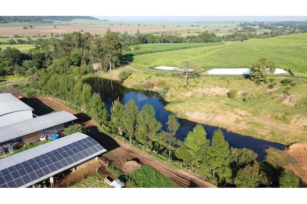 Fazenda, 217 hectares - Foto 18