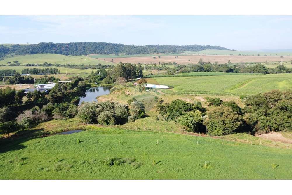 Fazenda, 217 hectares - Foto 13