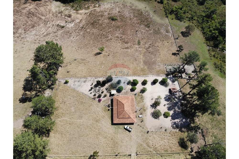 Fazenda, 1657 hectares - Foto 13